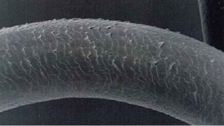 酢酸カラーを繰り返したイメージ